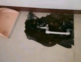 舒城卫生间测漏水多少钱